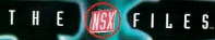 nsxfile_logo_cover.jpg (9862 bytes)